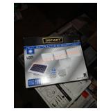 Defiant motion activated security light