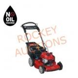 Toro Recycler 22 in. Briggs & Stratton mower