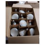 Phillips 12 count 65W indoor flood lights