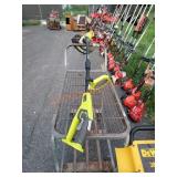 Ryobi weed eater with edging head