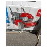 Toro Recycler 22" Briggs & Stratton gas mower