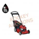 Toro Recycler 22 in.  Mower