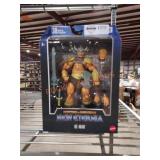 Masters of the universe he-man