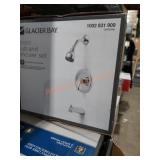 Glacier Bay shower set