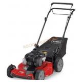 Toro 22 in. Gas Mower