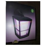 Philips hue light fixture