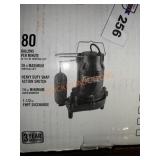 Everbilt 3/4 HP Pro Snap Action Sump Pump