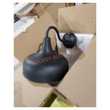 Outdoor light fixture