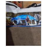 Ozark trail 10-person tent