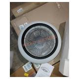 Ceiling fan with Light