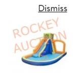 Banzai splash falls water park inflatable