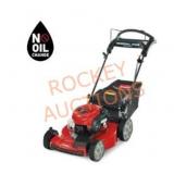 Toro Recycler 22 in.mower