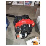 Echo backpack blower