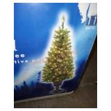 Lighted Christmas tree