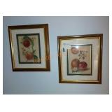 Fruit framed wall art