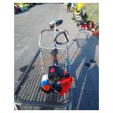 Echo PE-225 with edger attachment