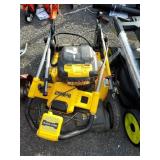 Dewalt push lawnmower