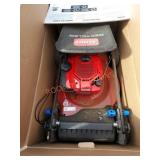 Toro Recycler 22" Briggs & Stratton gas mower