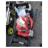 Toro Recycler 22" Briggs & Stratton gas mower