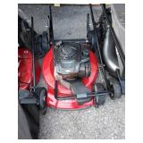 Toro 22" Recycler Briggs & Stratton gas-powered
