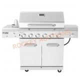 Nexgrill 6 Burner Propane Gas Grill Stainless
