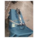 Ten point cross bow profusion