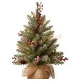 National Tree Company Pre Lit Artificial Mini