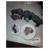 Dachshund lot