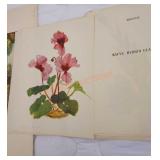 Spring flowers drawn by Arlette Davids