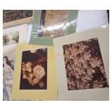 Enlarged photo prints