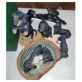 Dachshund lot