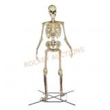 12ft Giant Sized Skeleton
