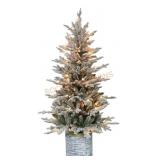 Puleo International 4.5