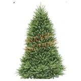 7.5ft unlit Dunhill fir tree