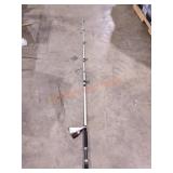 Berkeley Big Game Power Series Pole