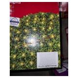 300 cleat mini net lights