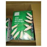 Home Accents 100 Warm LED Mini Lights