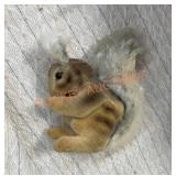 Vintage Steiff squirrel