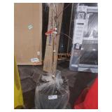 Fuyu Jiro Persimmon Tree