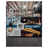 Feit Electric 48 ft. Outdoor String Lights