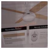 Hunter Dempsey indoor ceiling fan