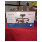 Progress lighting light