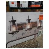 Home Decorators 3-Light Vanity Fixture