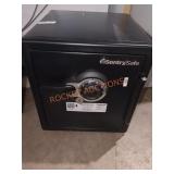 Sentry Safe 16" x 17" x 18" Dual Safe