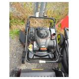 Murray 20" Briggs & Stratton motor E450 mower