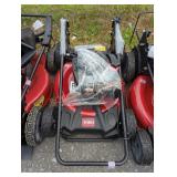 Toro Recycler 21" Gas Push Lawn Mower