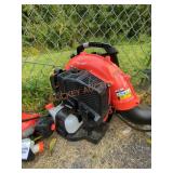 ECHO Gas 2-Stroke Backpack Leaf Blower