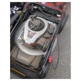 Murray 21 in. Gas Push Lawn Mower