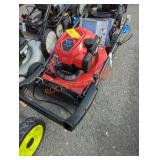 Toro Recycler Briggs&Stratton 22" Gas Lawn Mower