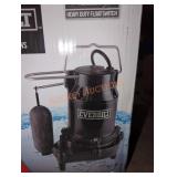 Everbilt professional sump pump